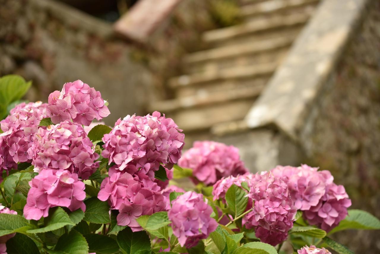Relais Corte Rodeschi Camaiore Exteriér fotografie