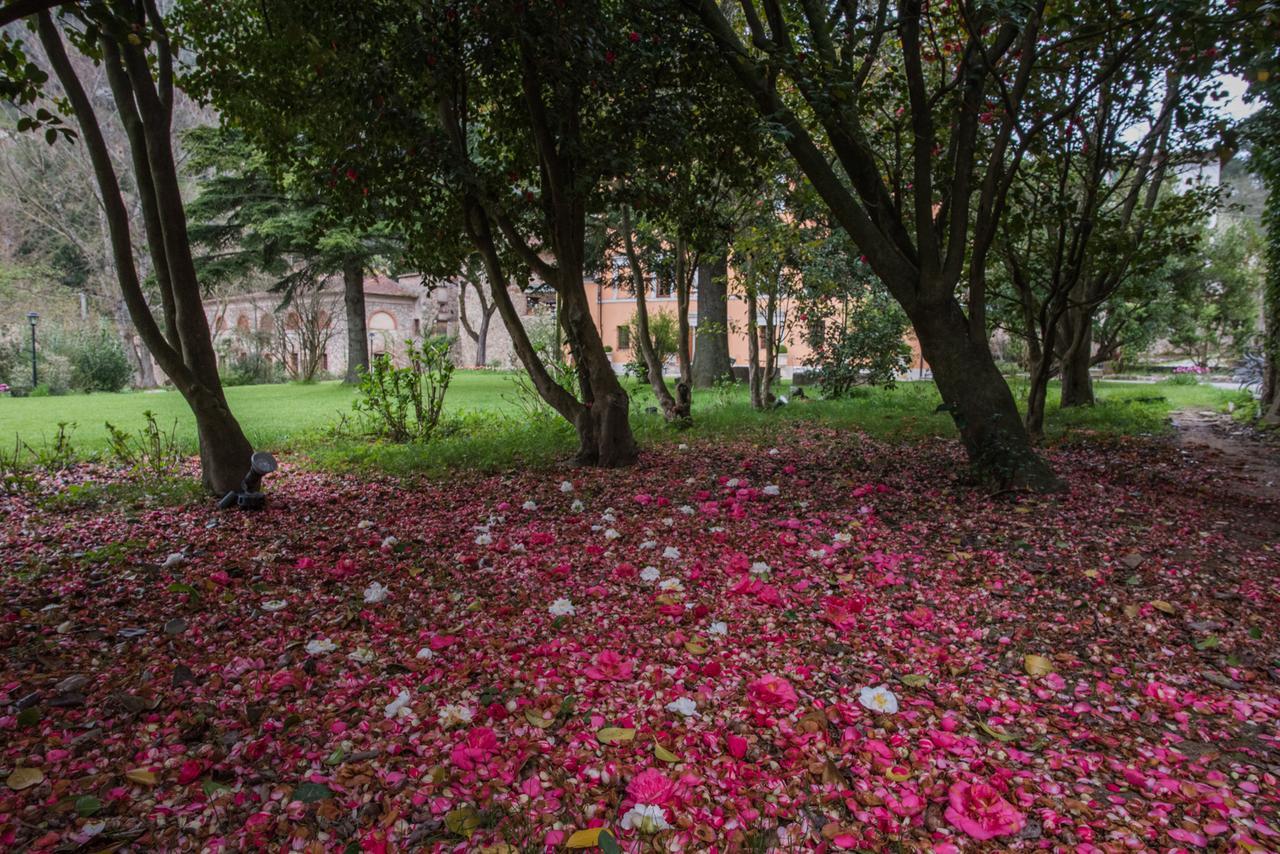 Relais Corte Rodeschi Camaiore Exteriér fotografie