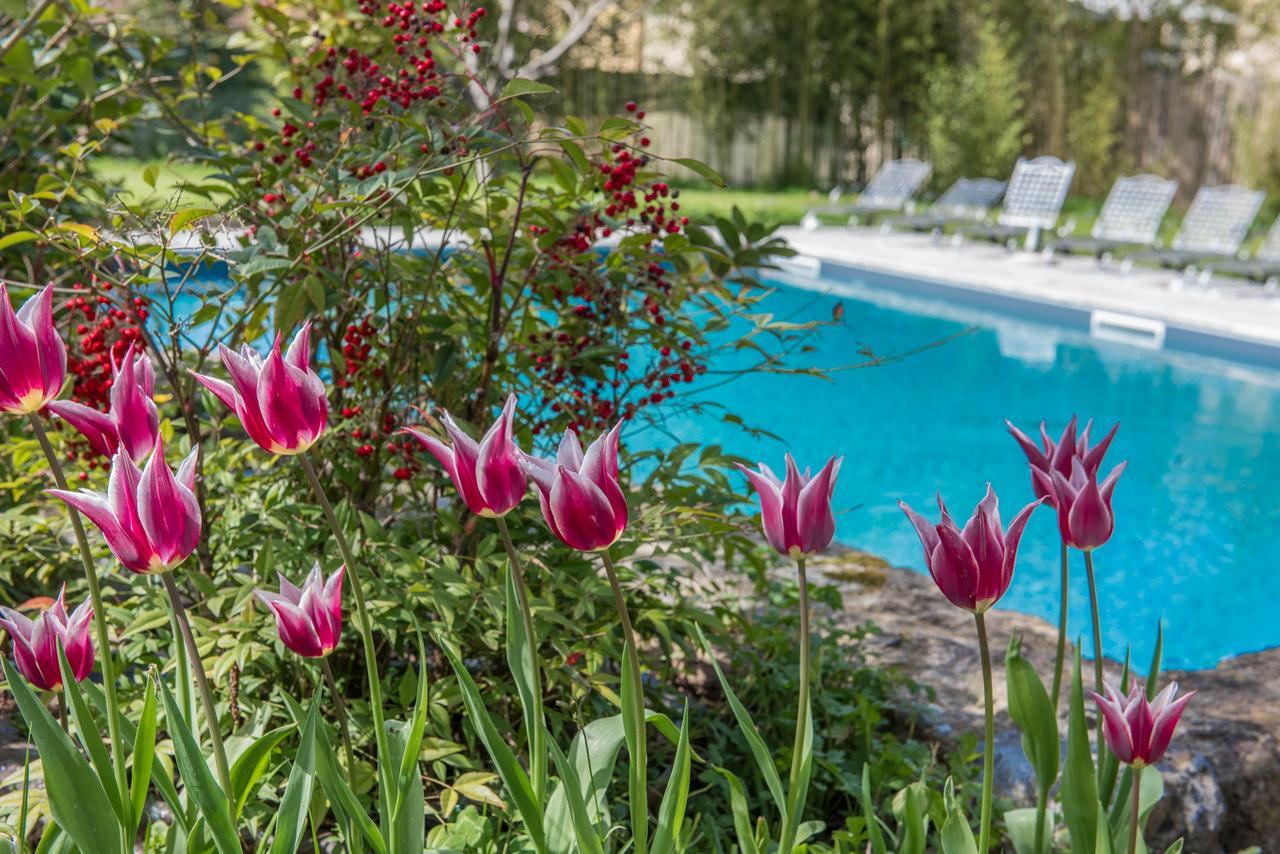 Relais Corte Rodeschi Camaiore Exteriér fotografie