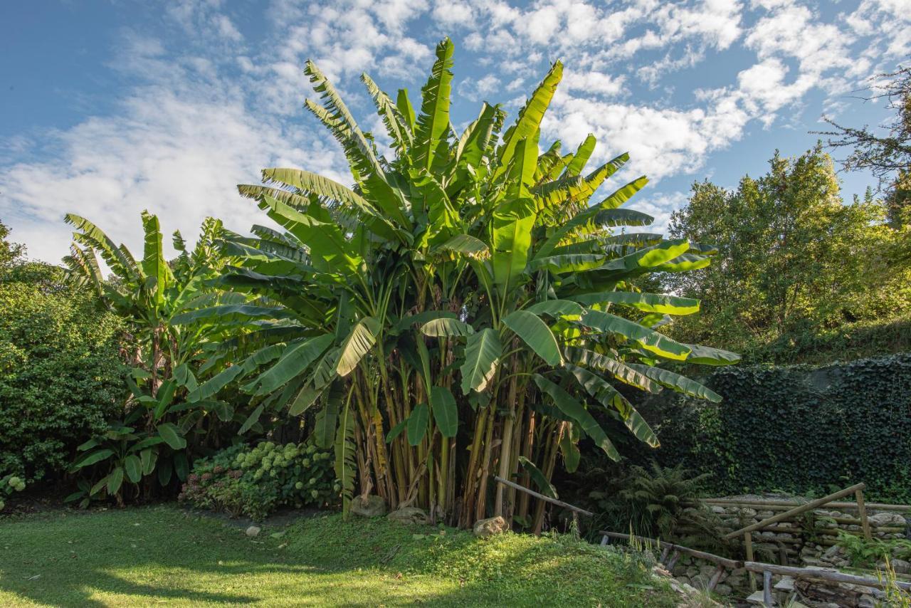Relais Corte Rodeschi Camaiore Exteriér fotografie