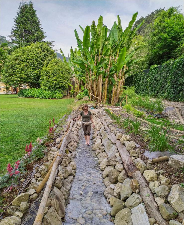 Relais Corte Rodeschi Camaiore Exteriér fotografie